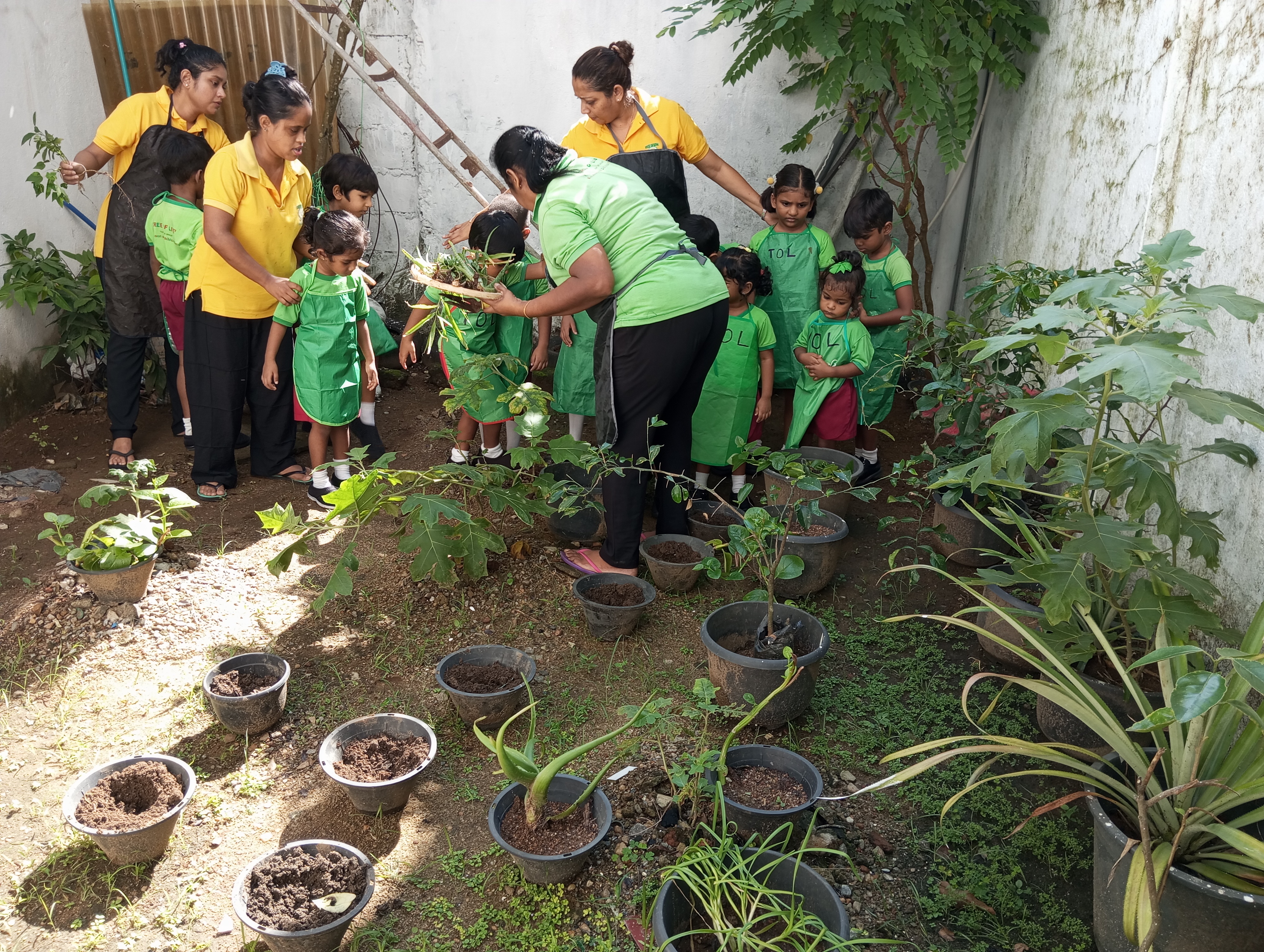 Album: Tree Planting Day